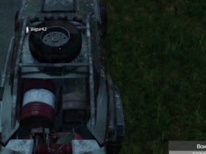 DayZ