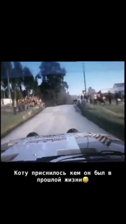[https://t.me/lilmanada|ЗНМ]