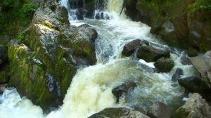 Алтай Телецкое озеро / Travel Altai Lake Teletskoye 2023