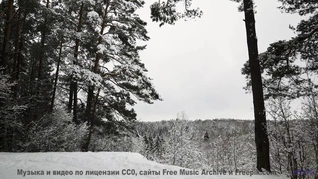 Музыка, которая звучит как гимн свободе! - Orange Peel -- Kirk Osamayo -- Season Two (ORANGE)