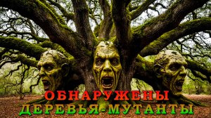Обнаружены деревья-мутанты.