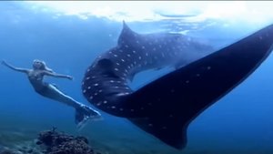 Cafe del Mar – «Bitter Sweet» – Gary Butcher