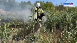 Дежурная часть Вести Крым: выпуск 23.06.2025