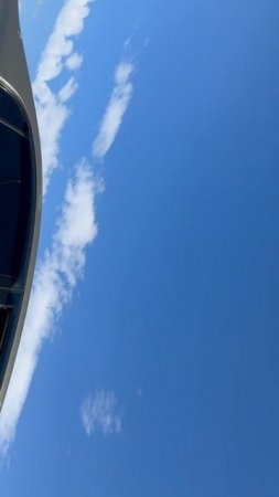 «Коробку пельменей дадут - и проедете спокойно»