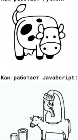 Что лучше?)