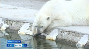 09:30 ВЕСТИ САХА 23/06/25 НА ЯКУТСКОМ ЯЗЫКЕ