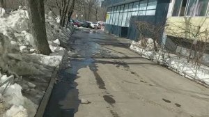 Газоны используют для повышения пропускной способности улично - дорожной сети и хозяйственных целей