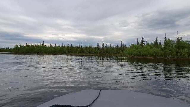 Ефимозеро 2025