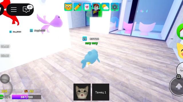 игра с котятами