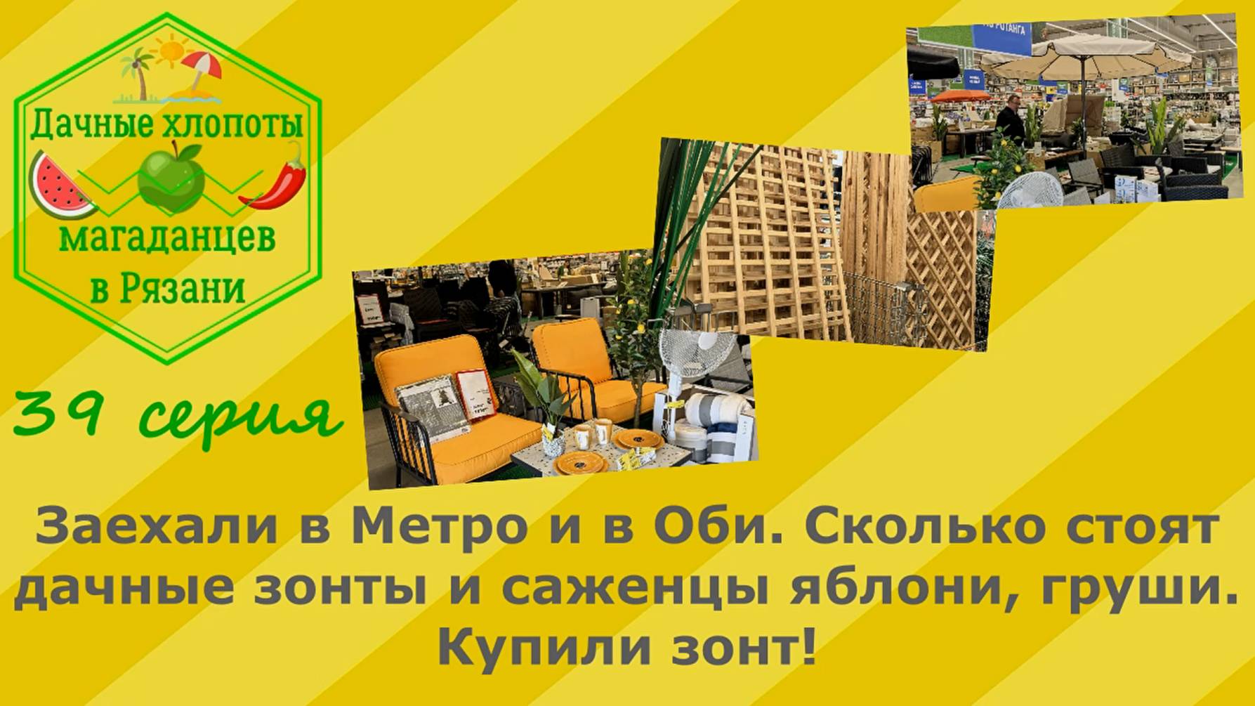 Метро и Оби в Рязани. Сколько стоят дачные зонты, саженцы яблони, груши. Мы купили зонт! 39 серия
