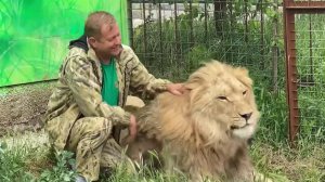 В Крыму прооперировали директора сафари-парка "Тайган", которого в вольере растерзали львы