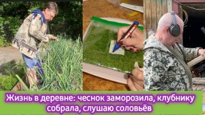 Жизнь в деревне: чеснок заморозила, клубнику собрала. слушаю соловьёв