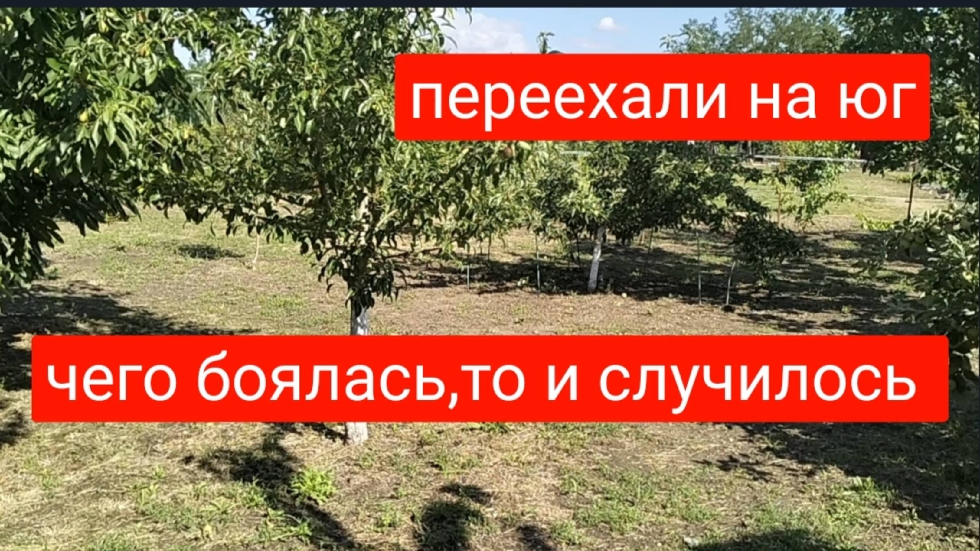 #44🌷21 июня.Чего боялась,то и случилось/Сама все делаю/Пора на стрижку