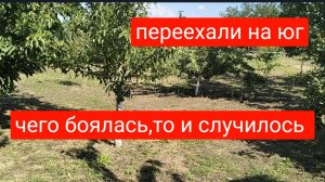 #44🌷21 июня.Чего боялась,то и случилось/Сама все делаю/Пора на стрижку