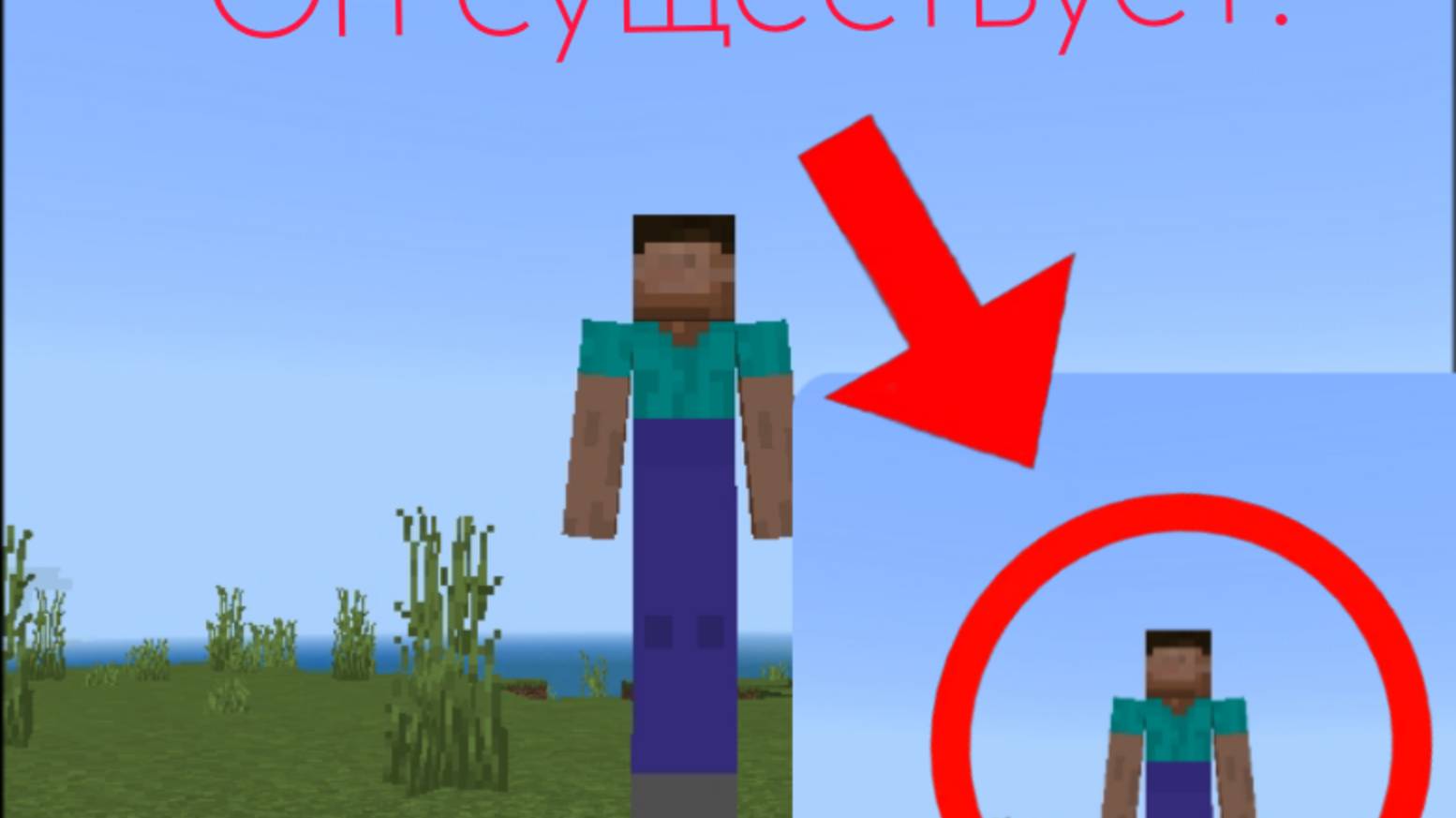 Длинноногий напугал меня! 😰