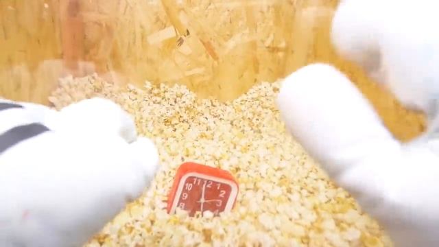 BRUNOШУТКИ над ГРАНДИОЗНЫМ ОПЫТОМ Джея против ВСЕГО ЭТОГО смотреть онлайн