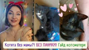 Я нашла коробку с маленькими котятами!🐈БЕЗ ПАНИКИ! 💖Гайд для котоматери! как ухаживать?