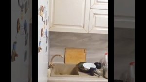 InShot_20250622_181400456