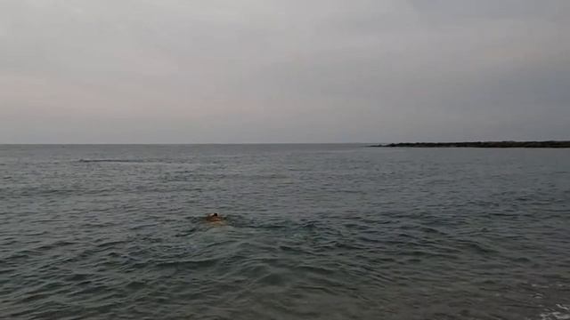 ЗАВЕРШЕНИЕ ОТДЫХА ДЕДА РАЗМОРОЗА