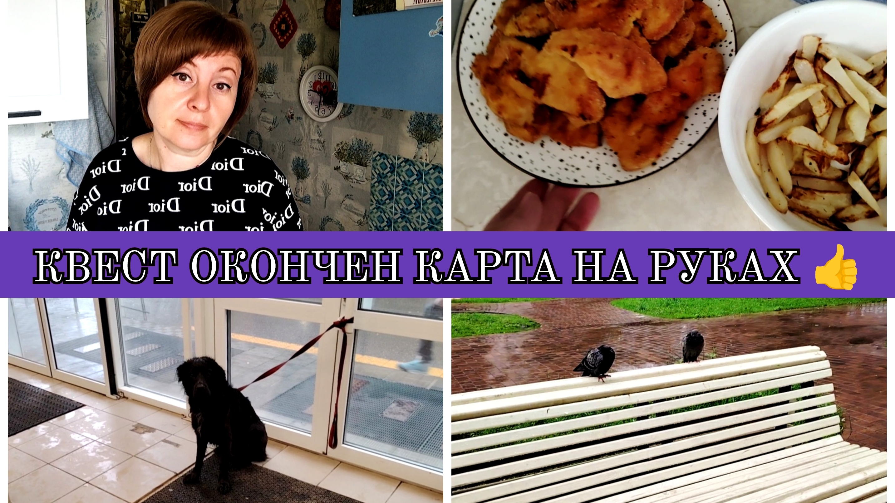 23-06-2025 КАРТУ ПОЛУЧИЛА👍ПОДСТРИГЛАСЬ🙂СНОВА ГОТОВЛЮ😋СОБАКА И ОГУРЕЦ🐕🦺🥒ЦЕНЫ В МАГНИТЕ🛒