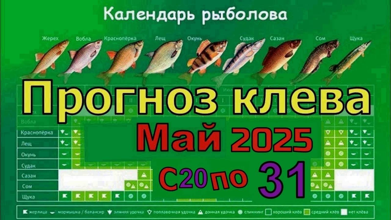 Прогноз клева рыбы на Эту неделю с 20 по 31 Мая 2025 по лунному календарю