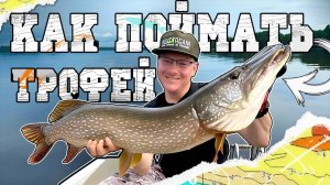 КАК В МАГАЗИНЕ!!! ЩУКА БОЛЬШЕ 10 КГ!!!!! ЛОВИМ КРУПНУЮ РЫБУ НА МАЛЕНЬКИЕ ПРИМАНКИ!!!