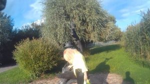 В магазин и к озеру, Глубокое, Беларусь 08.08.2024