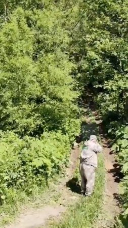 Медведь загрыз 2 человек на Сахалине.