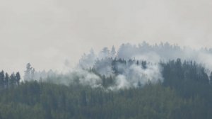 Больше 150 детей вывезли из лагеря в Забайкалье из-за природного пожара