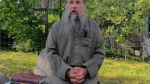 ЖИВАЯ ЕДА - почему живая?