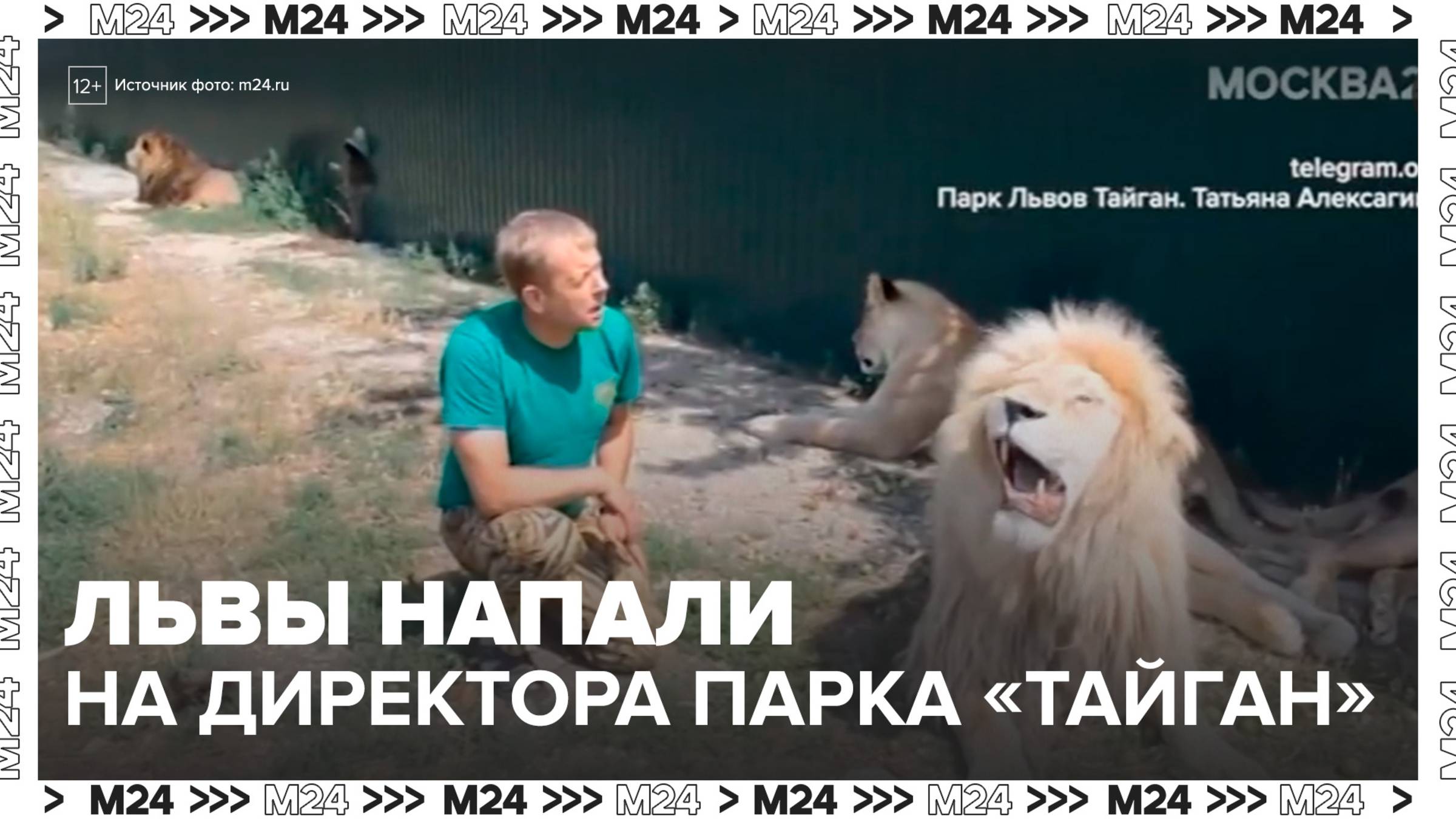 Львы напали на директора крымского парка "Тайган" - Москва 24