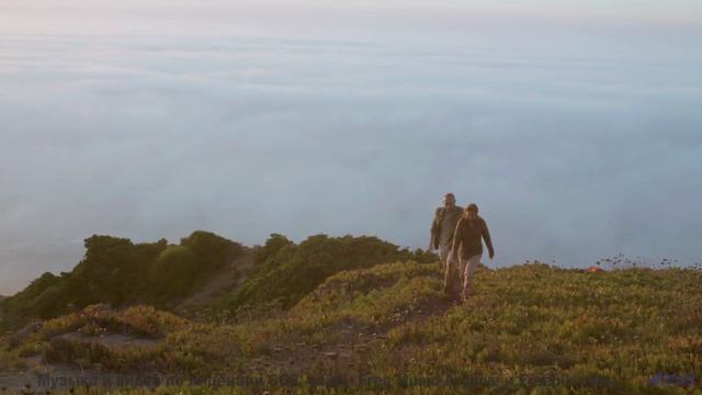 Мелодия превращает поля в магические пространства - Blossoming -- Podington Bear -- Meet Podington B
