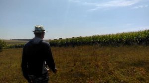 КОРОЧЕ ГОВОРЯ, Сходил за Грибами