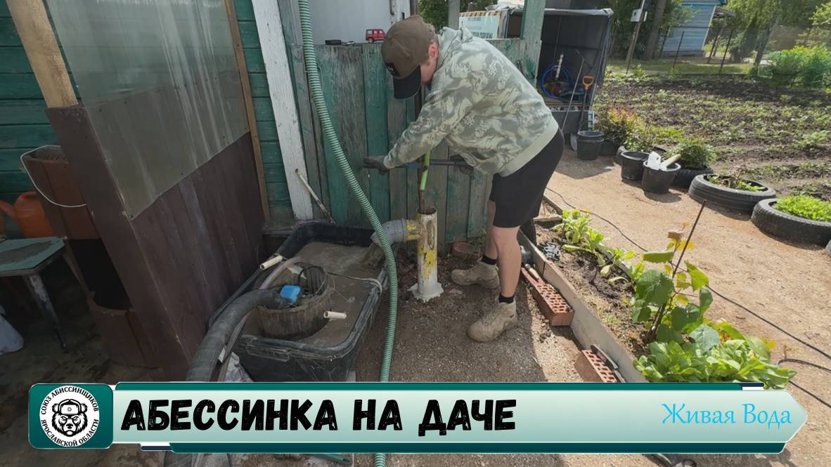 ❤️🔥🔥 Абиссинская скважина Ярославль 💧// Ростовский р-н СНТ Кристалл #скважинавярославле