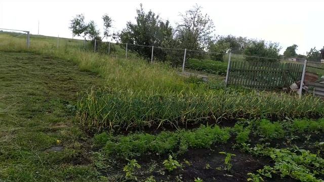 Новополянье! Отпуск в разгаре!