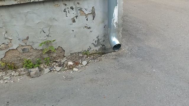 23 июня 2025 г., 19:41:59
Двор П. Осипенко 48
VID_20250623_193956037