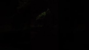 23:50 травят
