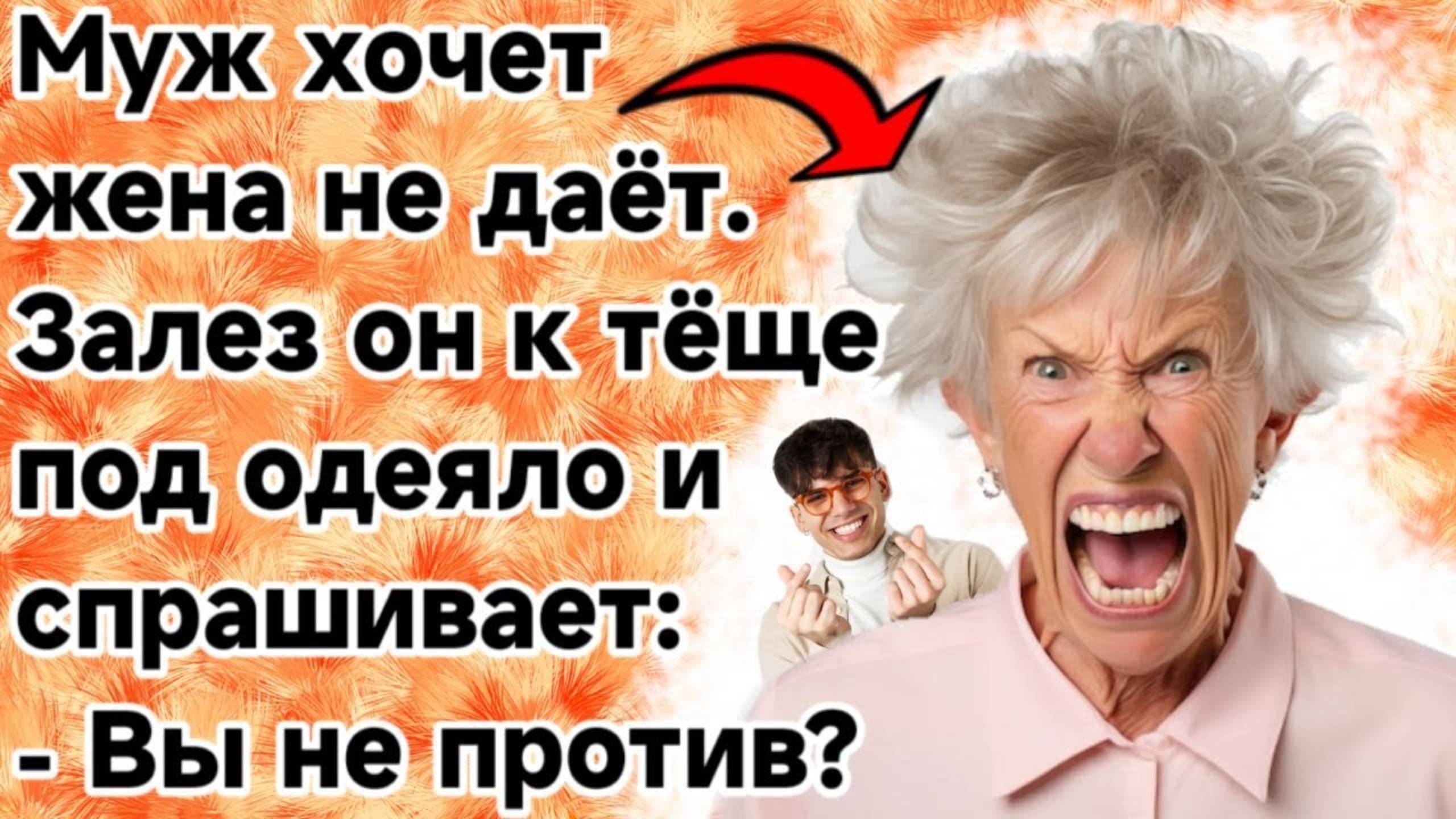 Зять приставал к тёще. Смешные анекдоты