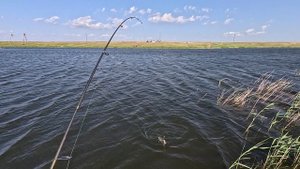 Рыбалка в сильнейший ветер