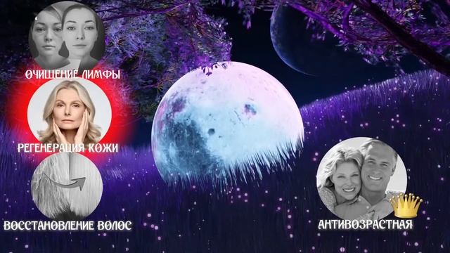 МАТРИЦЫ-ГАРЯЕВА.РФ АРХИВ: Все Матрицы Гаряева 2025