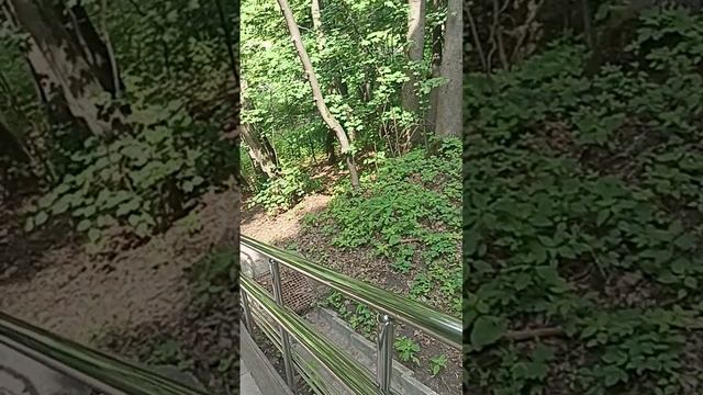 23-06-2025 Парк Коломенское!