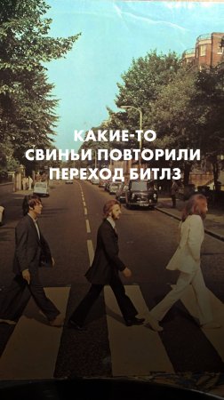 Какие-то свиньи в Ревде повторили переход Битлз по Эбби-роуд
