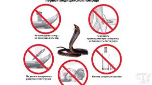 Укусила змея!