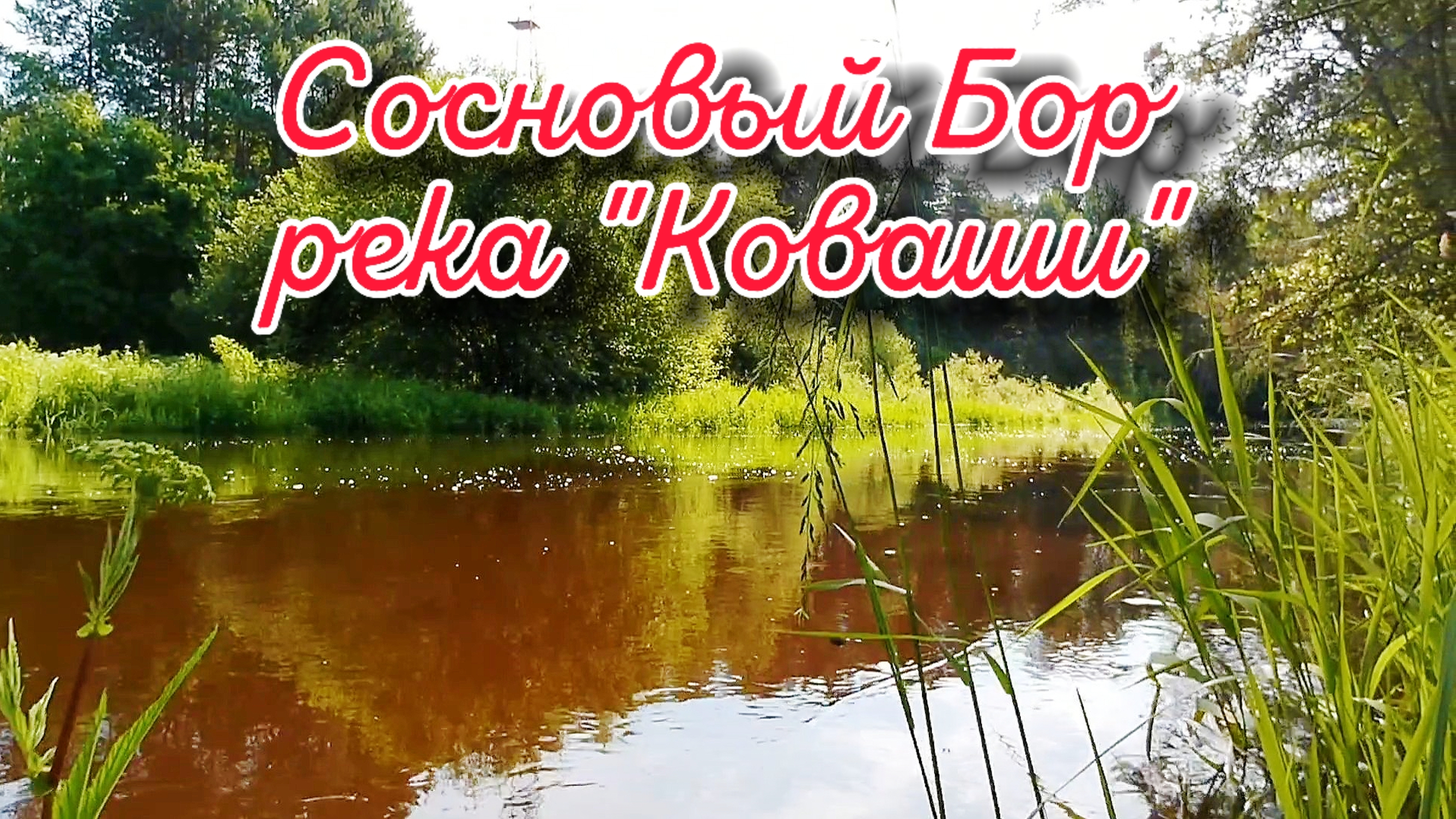 Санкт-Петербург, город Сосновый Бор (река "Коваши")
