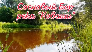 Санкт-Петербург, город Сосновый Бор (река "Коваши")