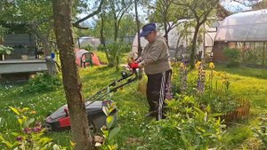 Солнечный июнь: дачные хлопоты под любимую мелодию🌻🏡