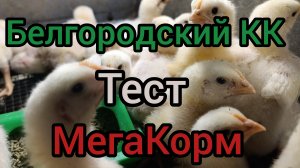 Вес бройлеров в 45 дней.