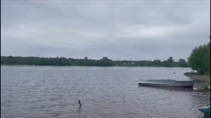 На рыбалку  🐟.