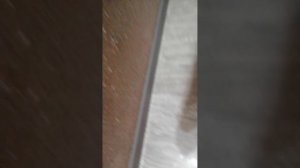 VID_20250623_194636.mp4