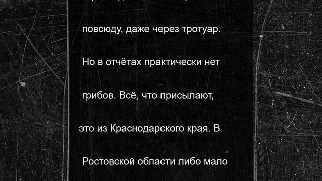 Дончане жалуются на плохой урожай грибов даже при обильных осадках